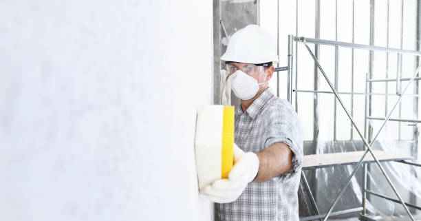 Best Mold Prevention Services in USA