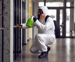  , USA Mold Removal Pros